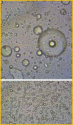Микрокапсулированное средство Insect Control